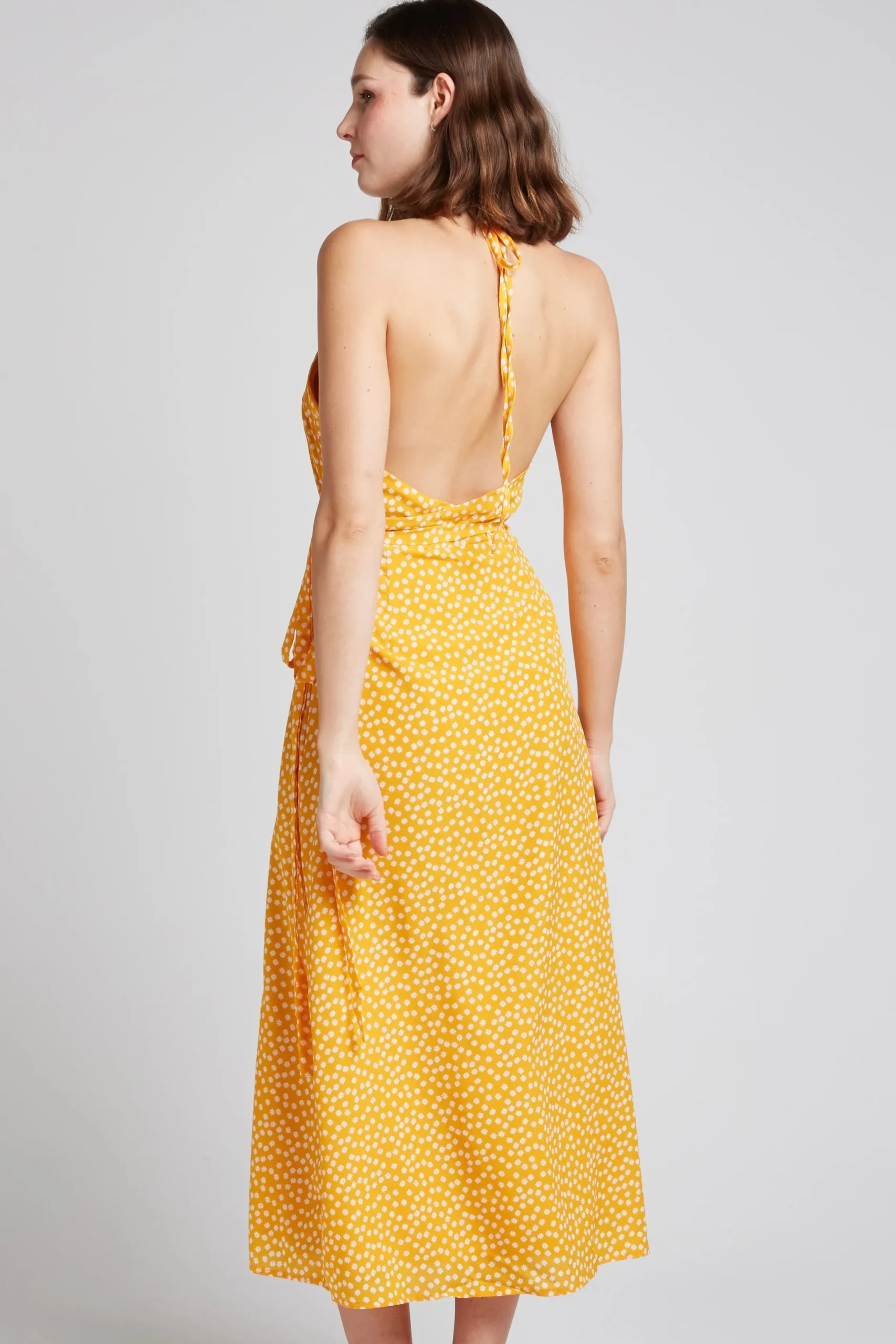daisy_3.webp DAISY