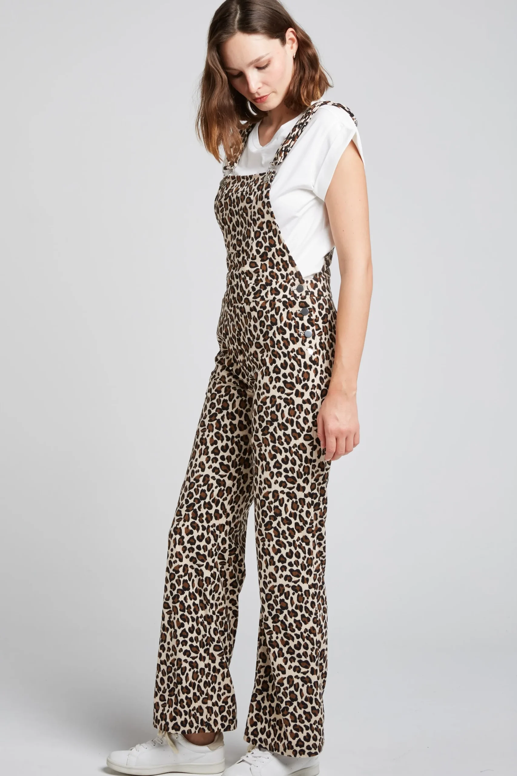 wilma_3.webp WILMA
